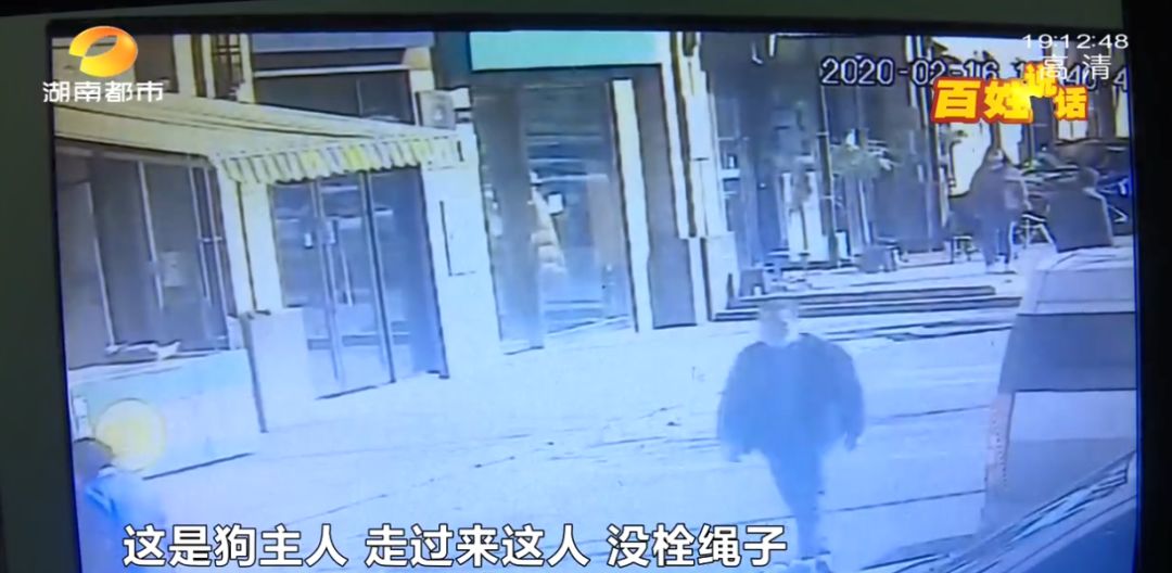 湖南长沙狗不拴绳撞到路人,长沙女子遛狗不牵绳被金毛咬后续
