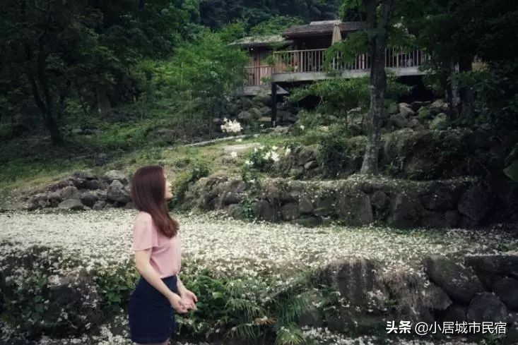 从化旅游景点大全樱花,从化樱花旅游景点