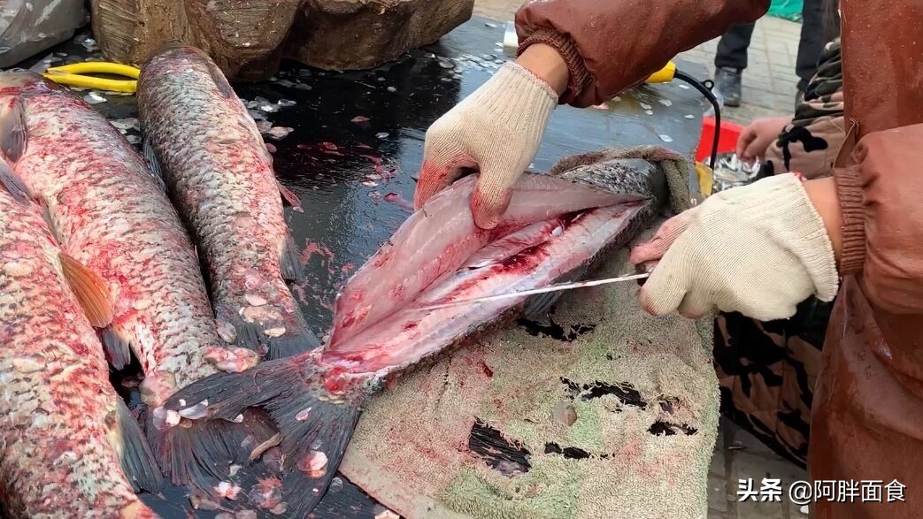 腊鱼做法正宗的腌制方法,腊鱼的做法和步骤