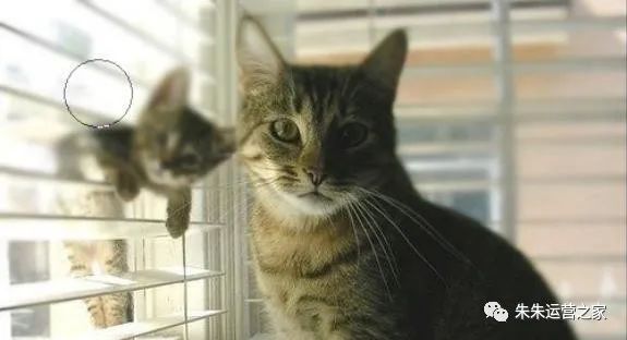 朱朱运营之家：学习PS工具箱中的模糊/锐化/涂抹工具