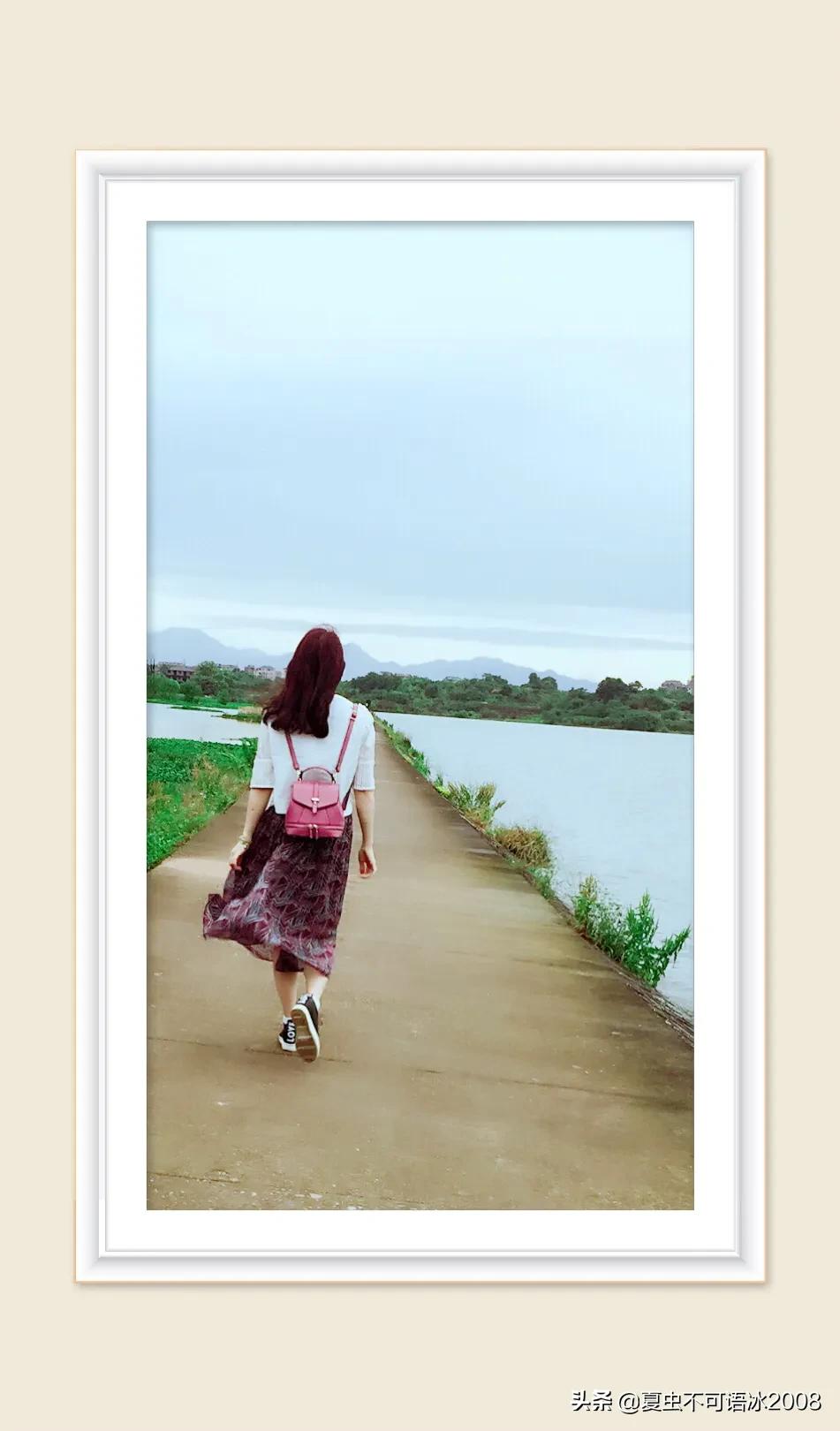 微课在物理教学中的应用,微课在物理教学中的应用论文