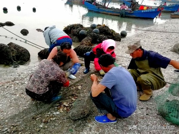 长海带孩子三日游攻略,长海县海岛游推荐格仙岛老七渔家