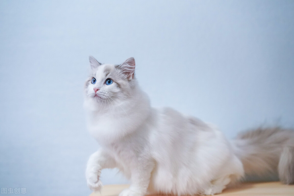 一招教你彻底祛斑,轻松祛斑先养肝