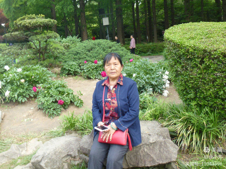 上海中山公园介绍,上海中山公园