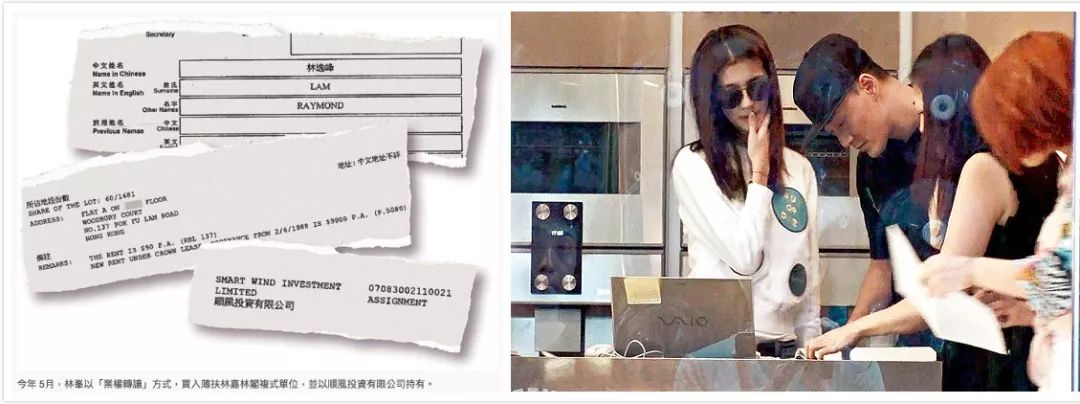 林峯谈爱情,林峯谈感情