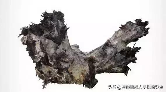 东方神木阴沉木传统乌木,阴沉木乌木手串怎么鉴别