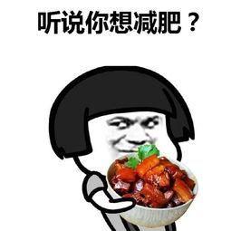 wildfieldhealth什么档次,wildfieldhealth性价比