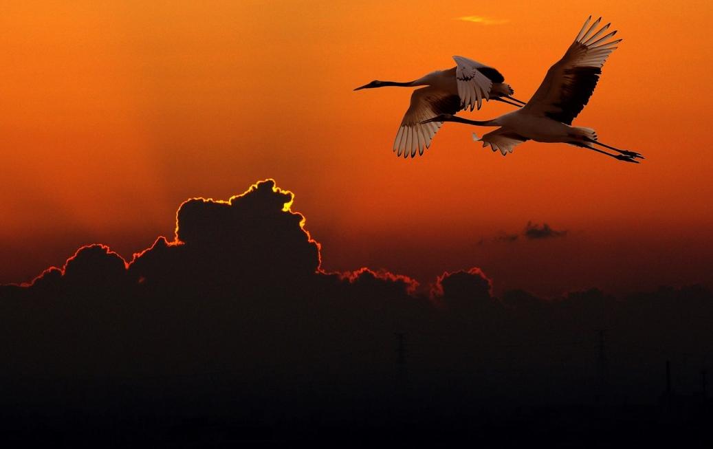 何为七情六欲？何为红尘？这里有你想要的答案