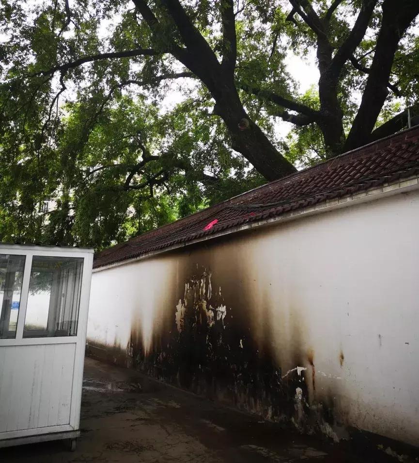 毛坦厂代购点,毛坦厂代购生意