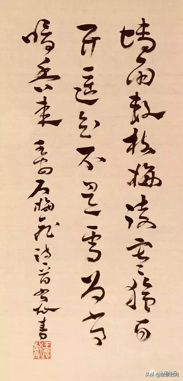 赏梅花十首最好的诗,最经典的梅花十绝