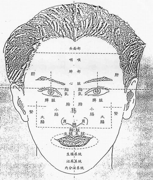 面诊五官看健康图解,五官面诊去哪里看比较好