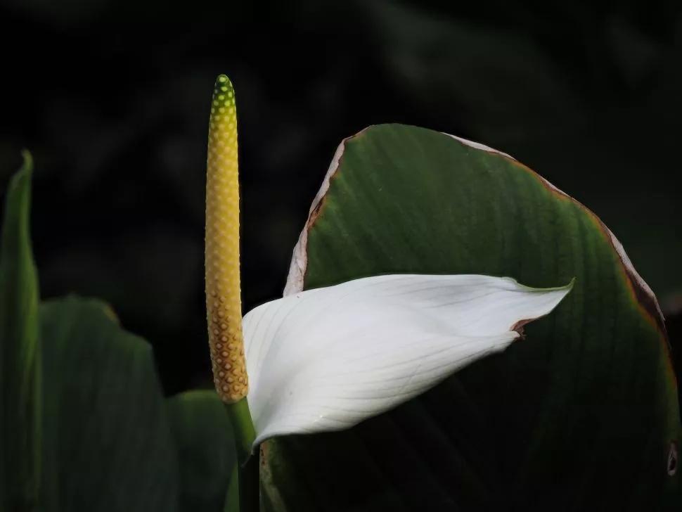 奥林巴斯e-m10markiii拍风光,奥林巴斯em1markiii样张