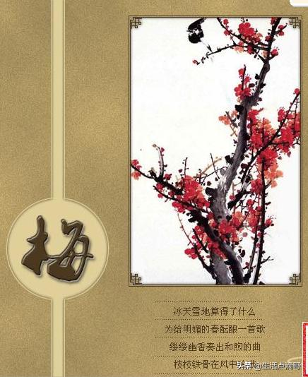 中国传统文化常识100道,中华传统文化常识答题