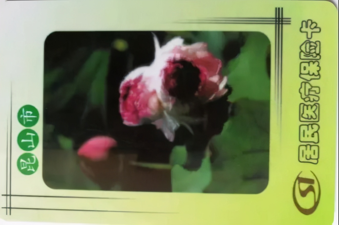 昆山取消限购吗,昆山强制执行在哪里开