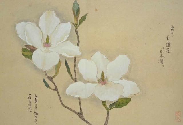 诗词的情感句子,情感孤独伤感的诗词