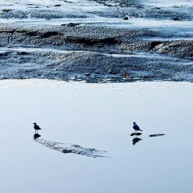 小林｜常恐秋风早，飘零君不知