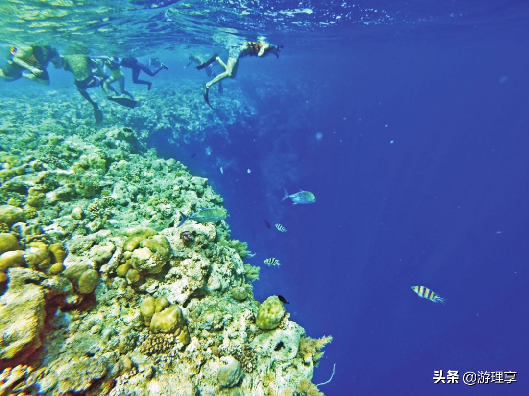 国外哪个海岛旅游可以海钓,度假海岛海钓刺激