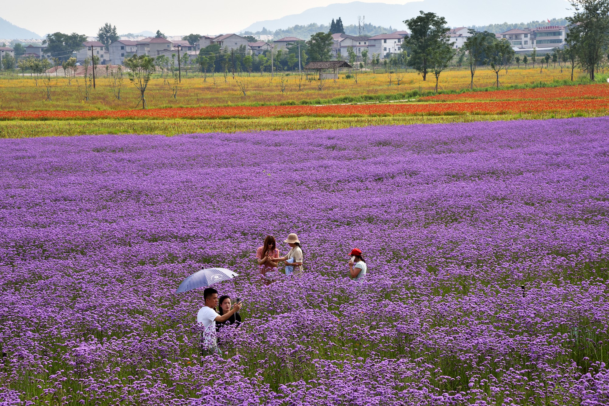 景德镇近代瓷器发展,千年瓷都景德镇有哪些瓷器