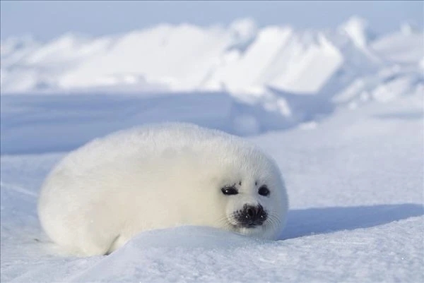 疫情后哪些人要拉黑,疫情后哪些人要拉黑你