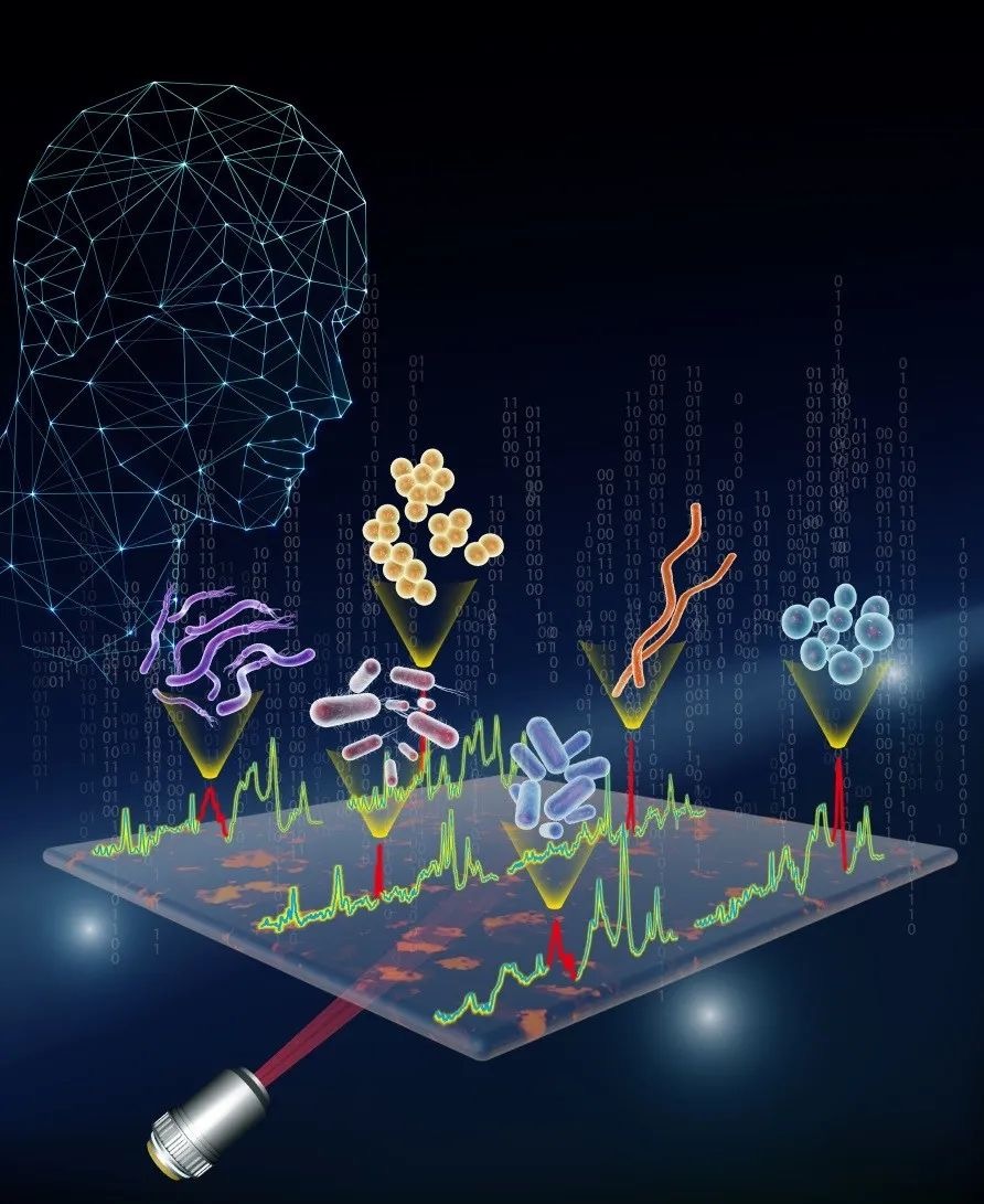 活菌检测去哪里检测,活菌怎么看