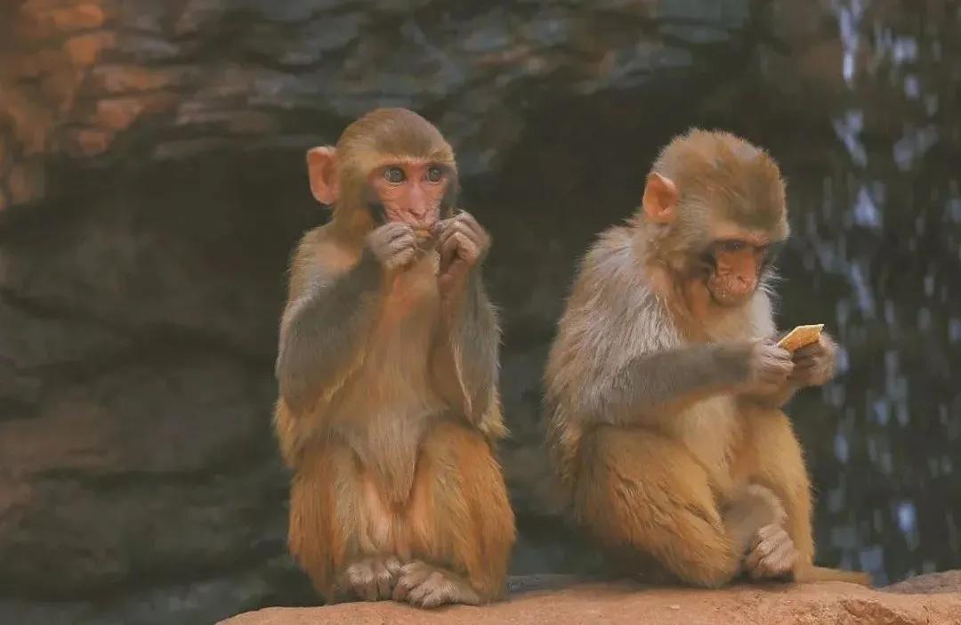 无法离昆，就地过年！昆明亲子游推荐路线重磅来袭！花样过牛年