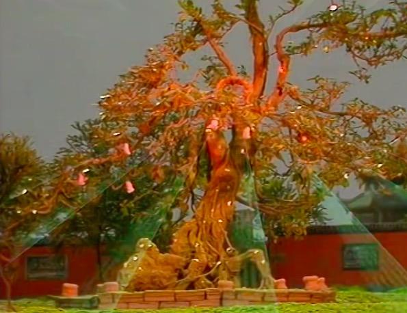 道家关于长生不老方法,长生不老十要点