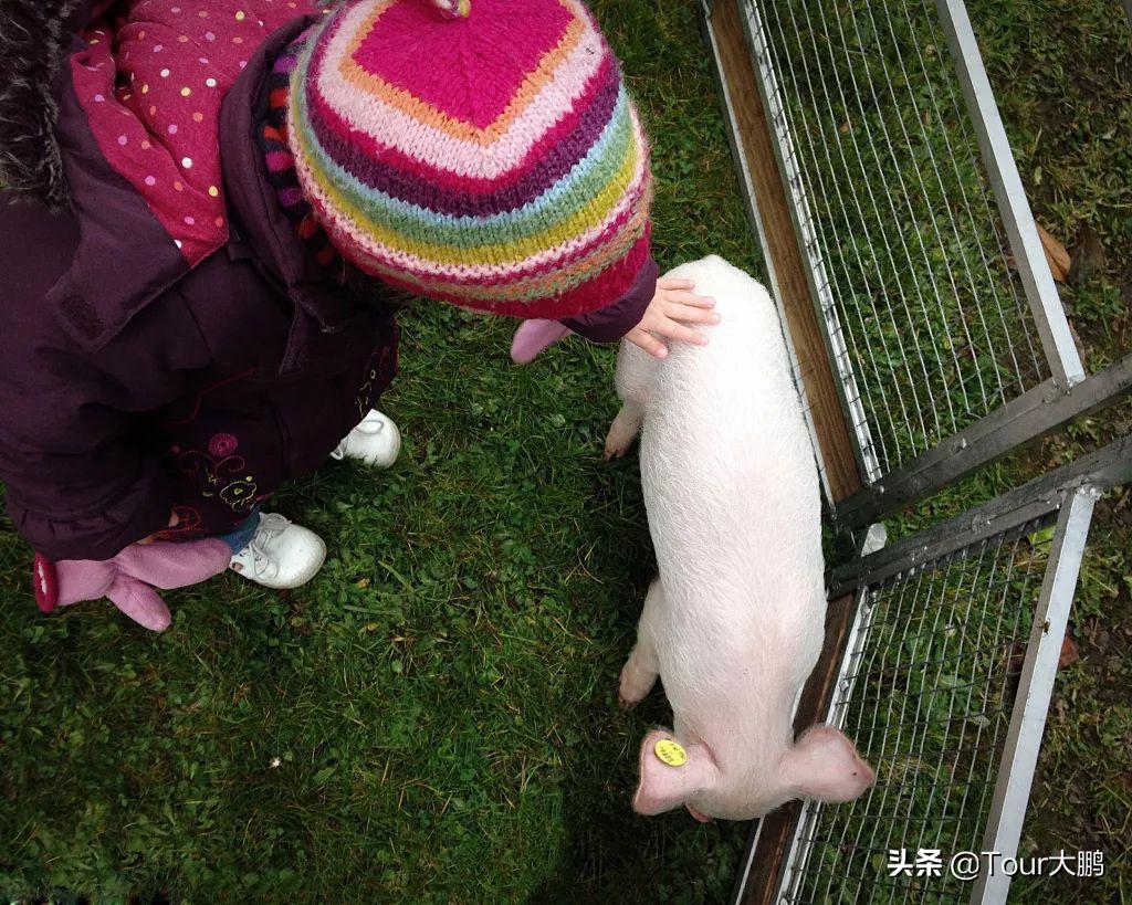 肯德基新年贺岁,肯德基新年活动2020