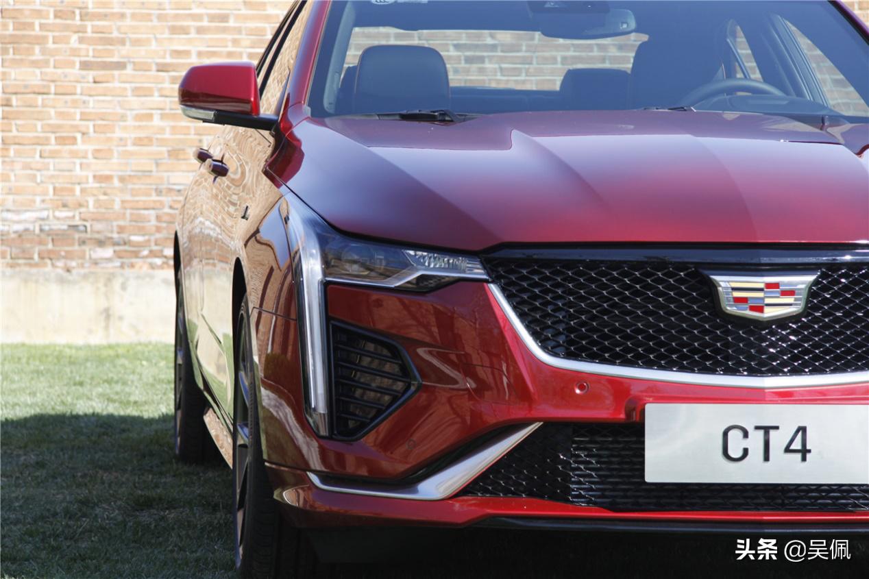 要是没有一颗纯粹的玩心，那还是离她远点吧