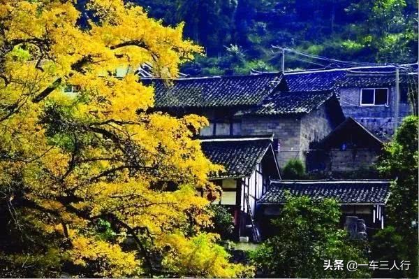 乌当的秋，风情却不张扬