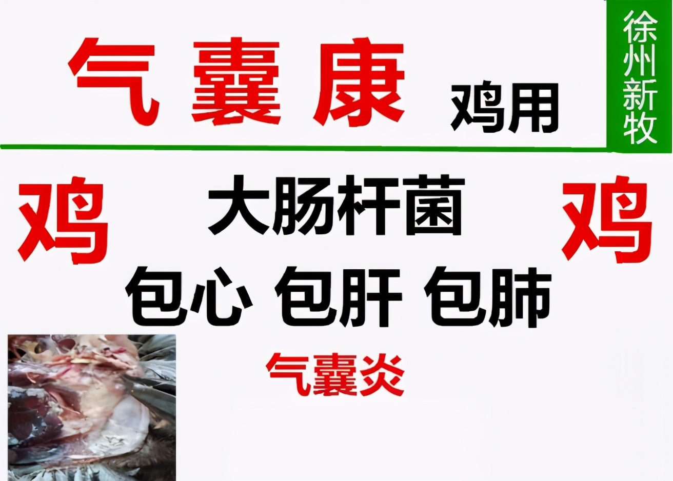 鸡拉稀红色绿色应吃什么药,鸡拉稀绿色粪便鸡冠发白