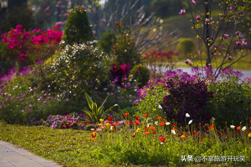 东莞植物园美丽好风景,东莞植物园有什么景色