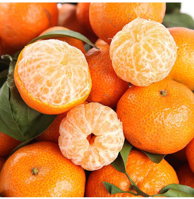 剥下来的橘子皮可以泡水喝吗,用新鲜的橘子皮泡水喝有啥功效