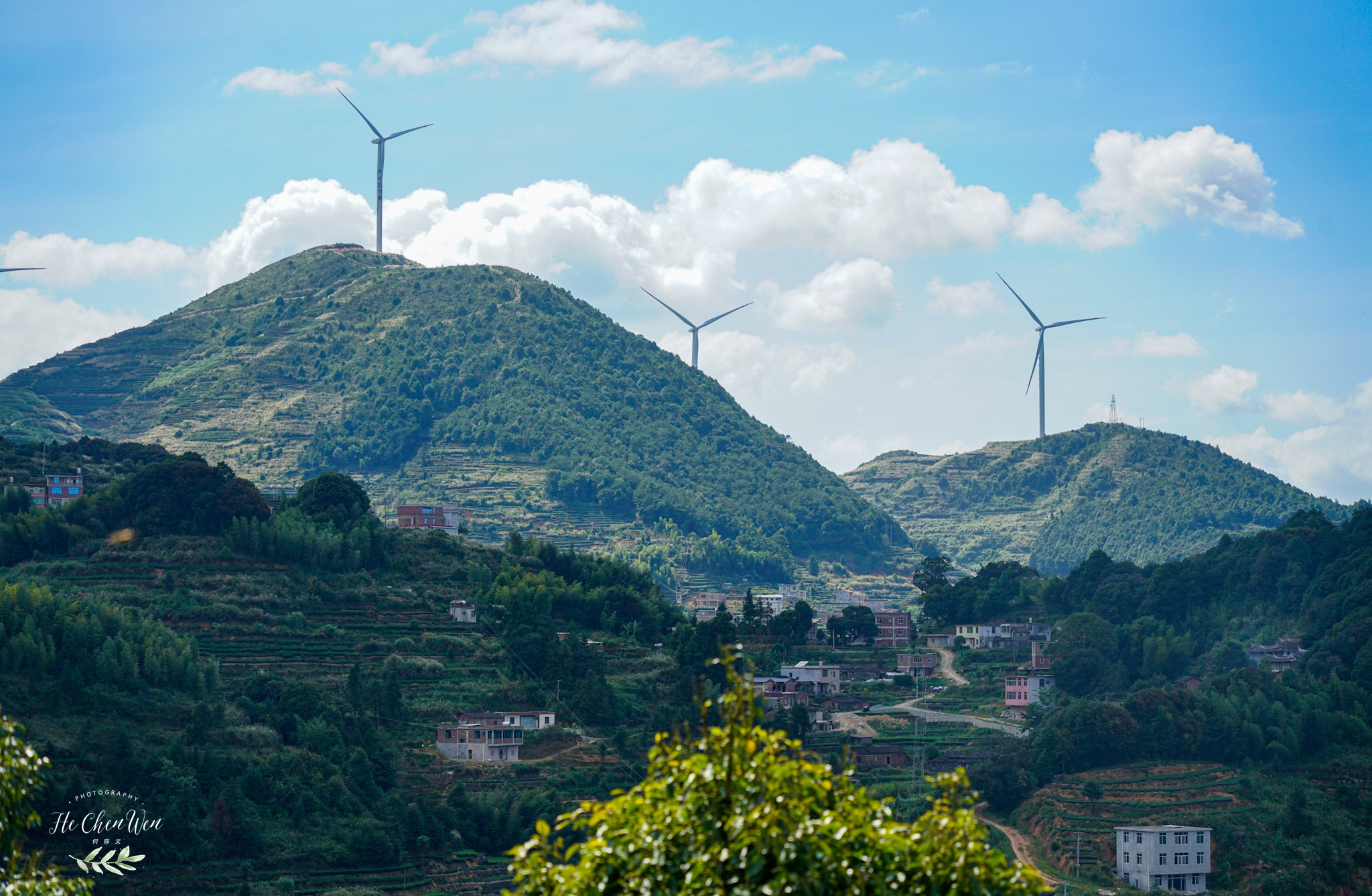 中国十大品牌铁观音茶叶,铁观音福建中国十大名茶