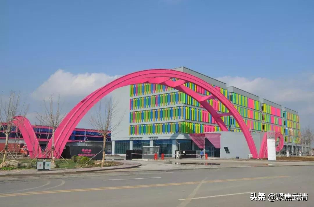 定了！武清这个镇被定为天津市特点文化产业示范镇