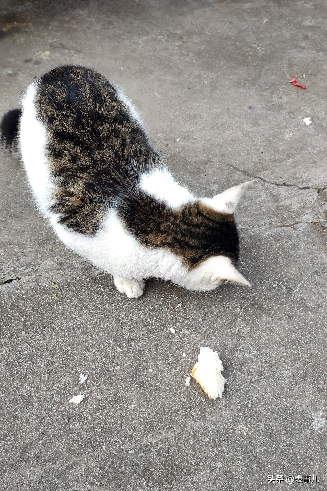 花160元和9个小时爬华山，还喝了一瓶15元的可乐，我是在找虐么？