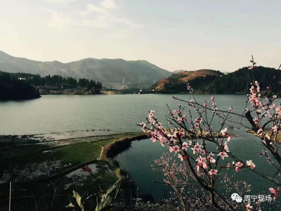 衢宁铁路周宁站,福建周宁衢宁铁路电话