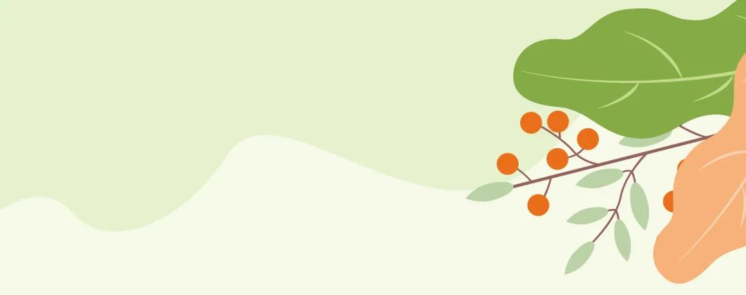 航空基地飞机主题公园,2021航空基地重点项目