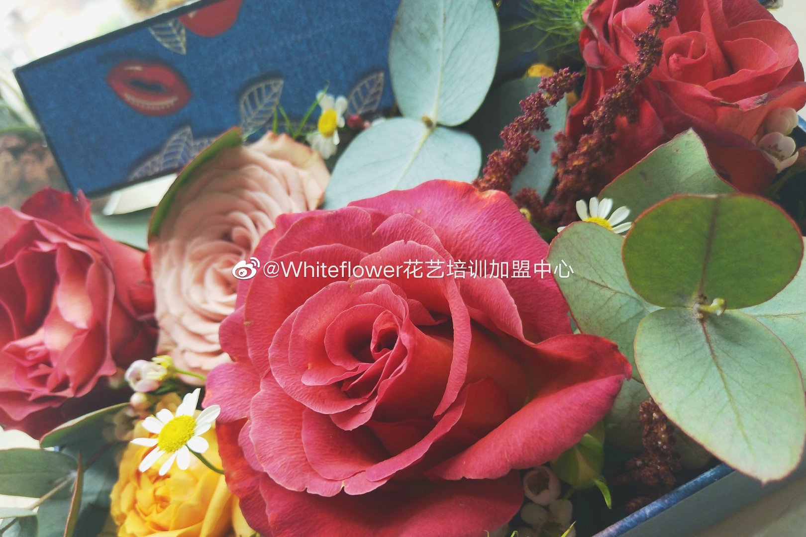 whiteflower闂ㄥ簵,whiteflower