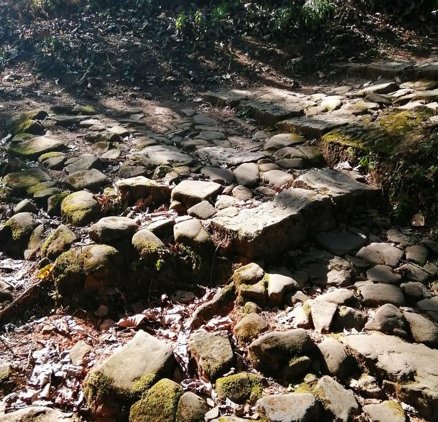 徐霞客游记完整视频,徐霞客游黄山后记全文