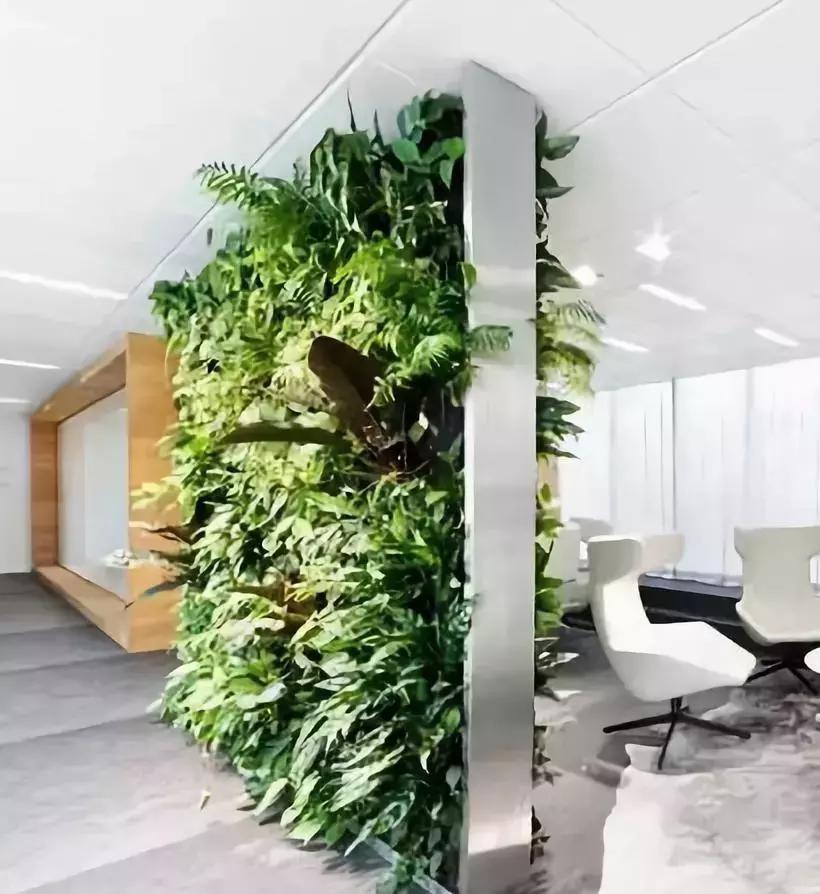 植物屏风隔断效果图,小型屏风