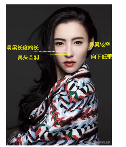 什么样的鼻子好看,怎样的鼻子才是好看的鼻子