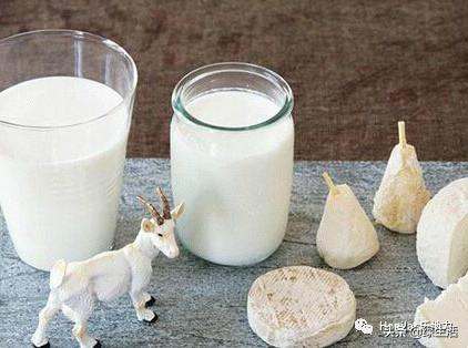 初生婴儿喝羊奶粉好还是牛奶粉好,婴幼儿奶粉羊奶粉好还是牛奶粉好