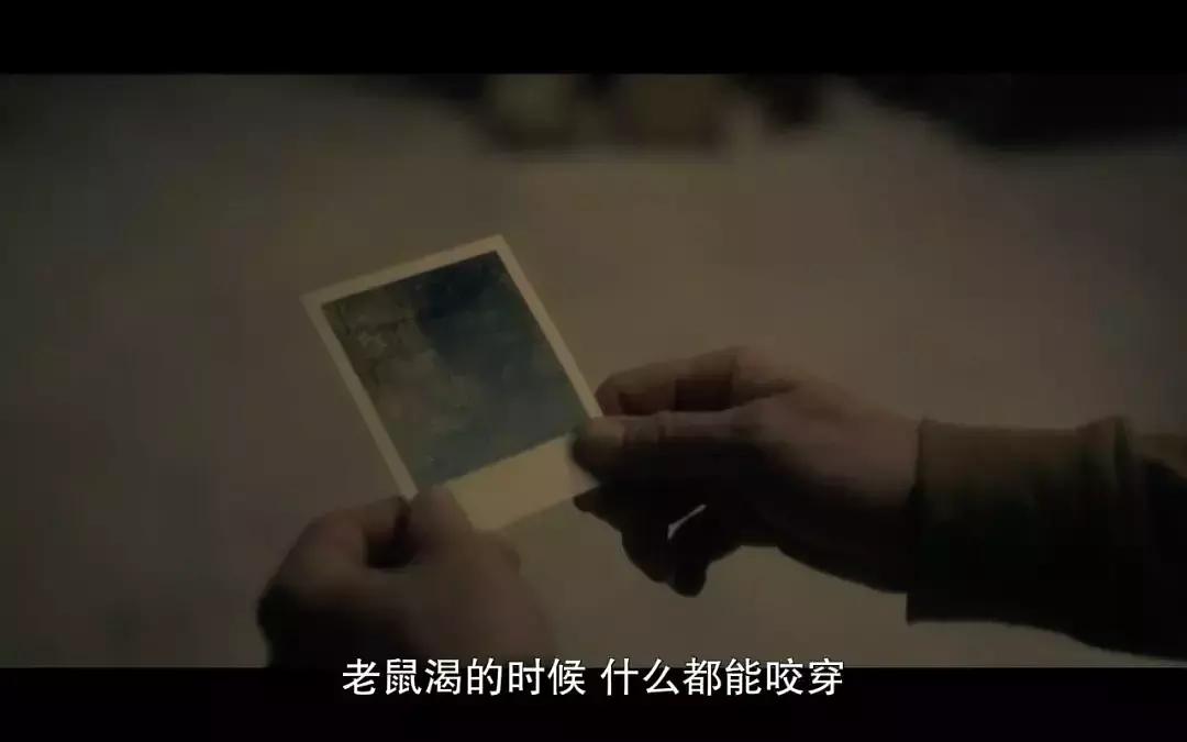 豆瓣评分9.5以上的电影惊悚片国语,豆瓣8.9分惊悚美剧