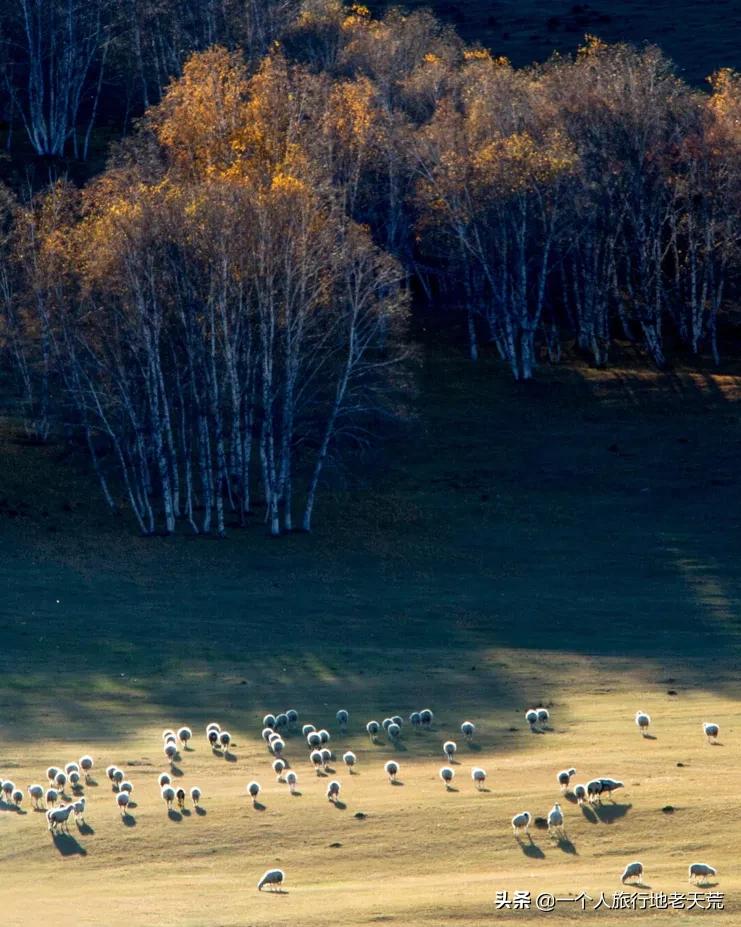 国庆节旅游宝藏景点,还有哪些宝藏小众旅游地
