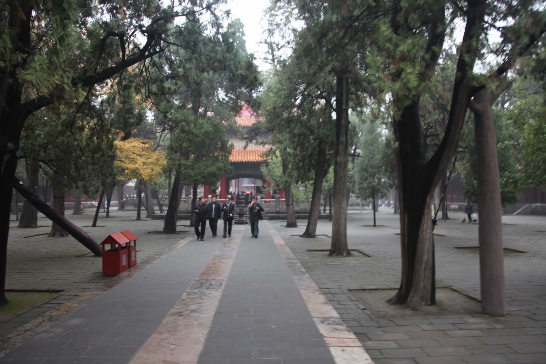 三孔在多少年被收入世界遗产名录,中国世界文化遗产三孔面积