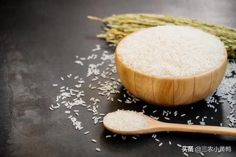 明年是辛丑寡妇年，俗语“寡年遇到牛，瓮里米生虫”，啥意思？