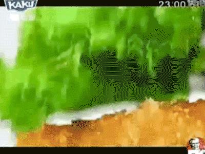 肯德基各种美食测评表,肯德基各种美食测评图表