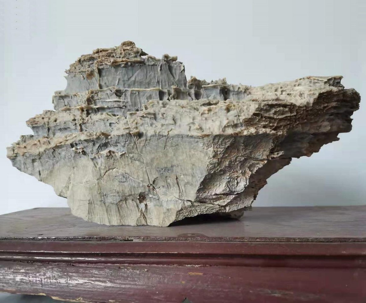 “乘风破浪的石头”入围作品展播