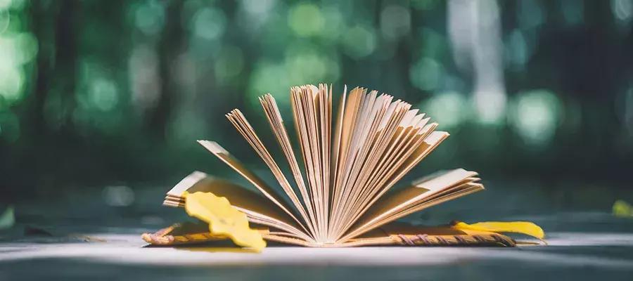 为什么总有人在骂保险,为什么那么多人吐槽保险公司