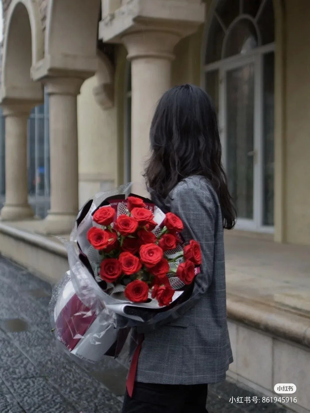 经典咏流传芦花,玫瑰花经典咏流传